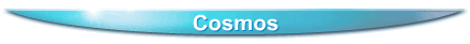 Cosmos
